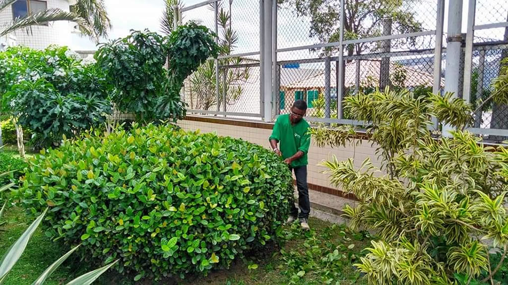 jardim sendo cuidado